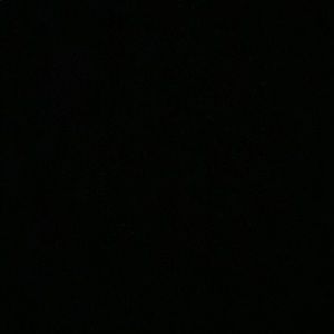 Meet your Posher, Riley